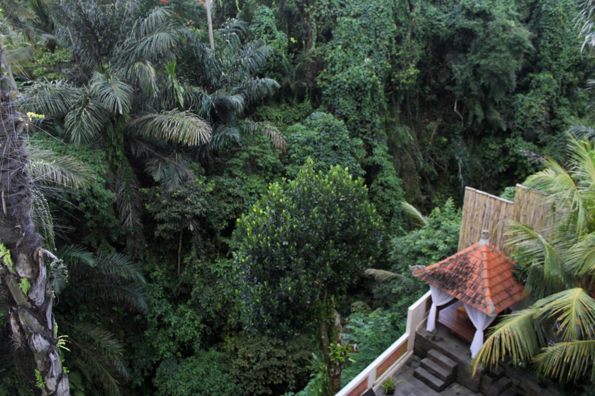 Hanaka Riverside Ubud Luaran gambar