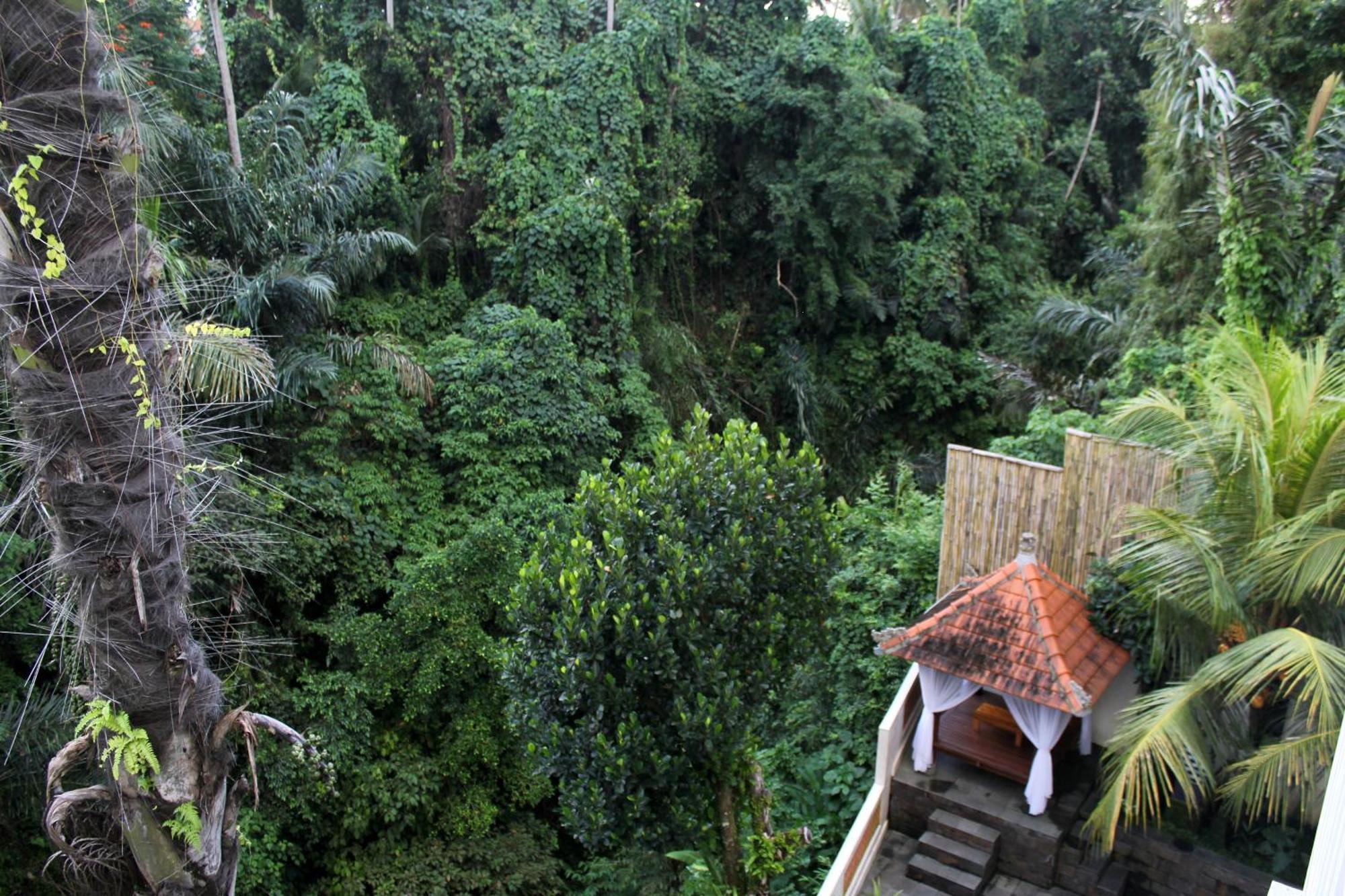 Hanaka Riverside Ubud Luaran gambar